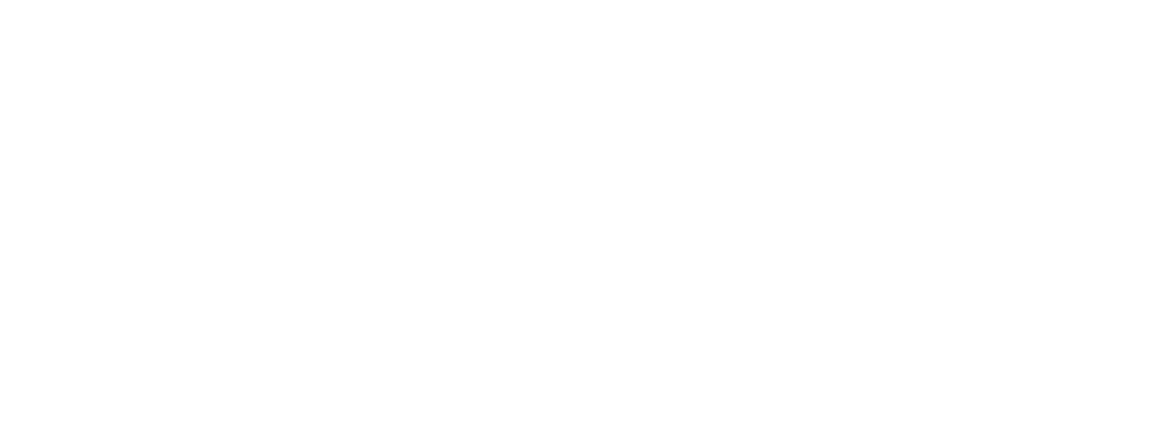 FF_Logo_WHITE.png